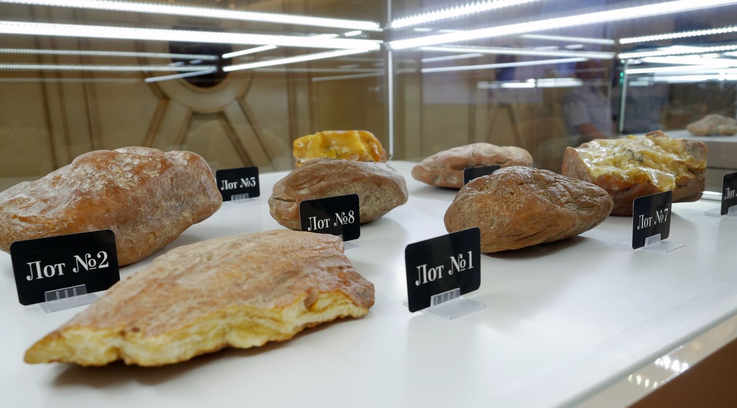 Музей янтаря в москве на арбате. Музей янтарного комбината в янтарном. Янтарная галерея на арбате. Янтарный комбинат калининград лого. Янтарный комбинат арбат.