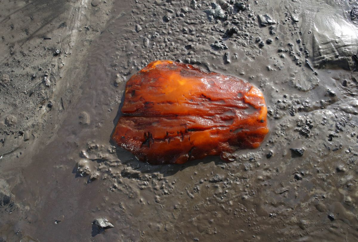 ZI1 3066 jantar