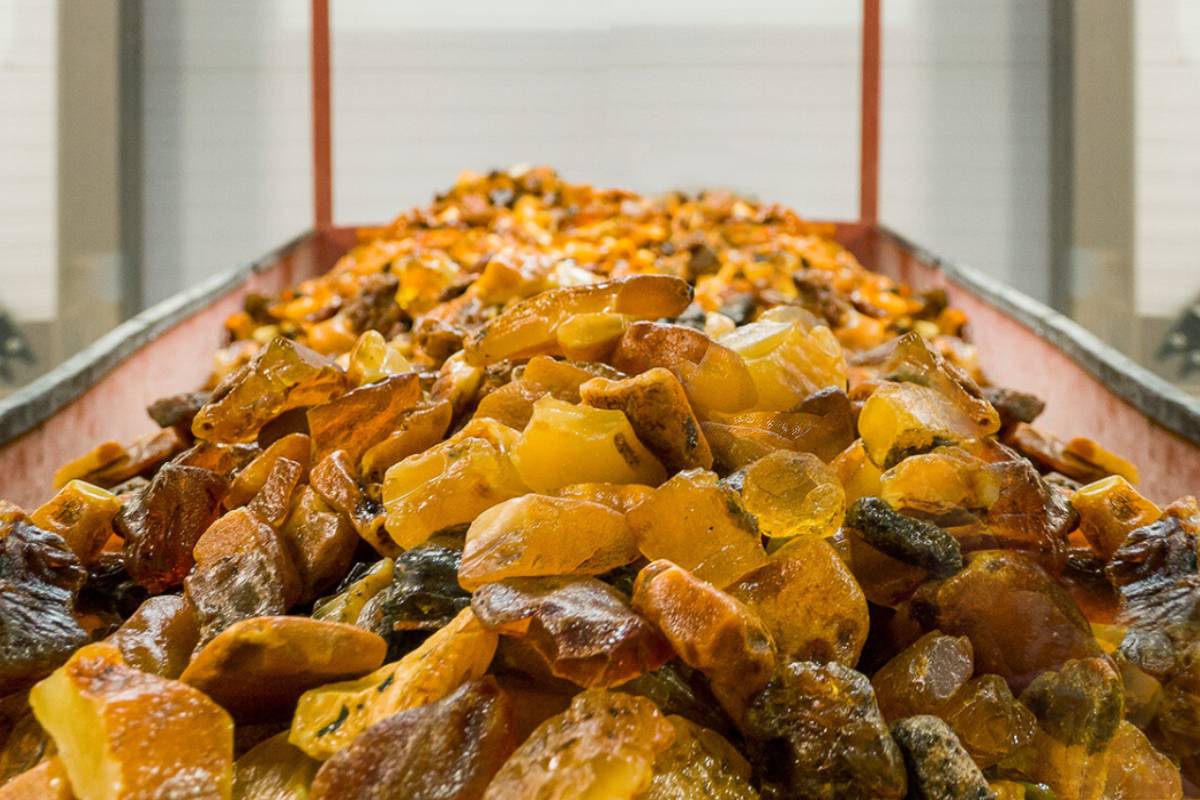 2024 03 01 10 10 13 10