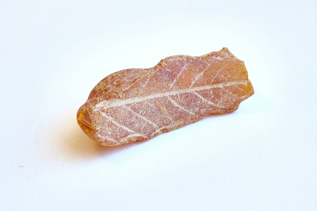 IMG 20260424 095840 038